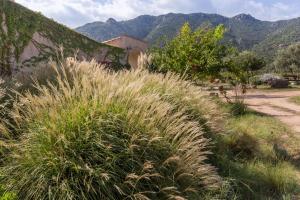 Lananai - eco b&b img65