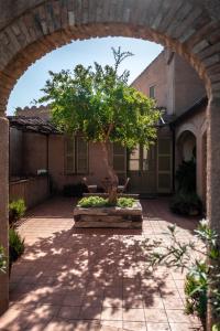 Lananai - eco b&b img32