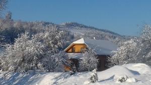 Пансион Yasna Sadyba Yasenitsa Zamkova Украйна