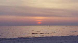 Duenendomizil _ strandnah