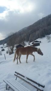 Appartement Pavillon