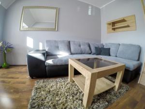 apartameny Tadeusz 406