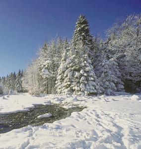 Vakantiepark Wilhelm Tell Superieur Chalet