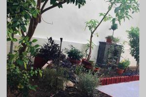 Modern hospitality, with private garden, Athens