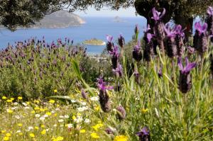 Villa with pool and view - Galatas, Poros Poros-Island Greece