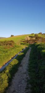 AL - HaoleGuestHouse