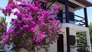 Residencial Coroa Vermelha