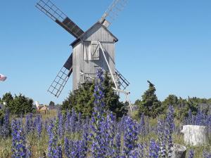 Ohessaare Windmill -Experience accommodation