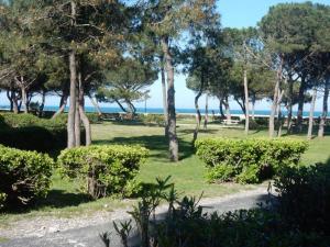 T2 FRONT DE MER SUR LA PLAGE (ACCES PRIVE DIRECT PLAGE) VUE MER ET MONTAGNE