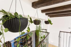 Sweet getaway apartment - central & parking 