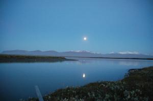 Húsey Hostel & Horsefarm