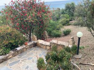 Ferienhaus Panorama, San Teodoro, Isuledda img29