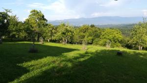 Barbara`s Village House 