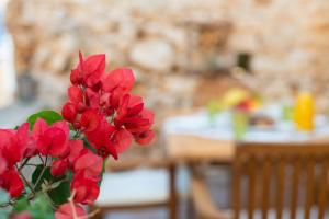 Little Karafillias Chalki House Halki-Island Greece