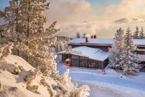 Hotel and Relax Moreni