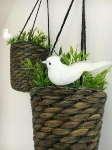 Sorelle Casa Vacanza