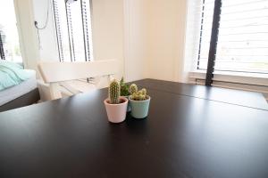 Escamp Apartments