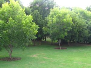 Millstream Inn guest house