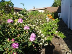 Alte Malztenne im Herzen der Schorfheide