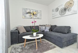 Apartments Violete 742 