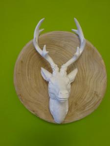 Ferienwohnungen Koller