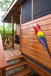 Maya Hill Lodge - 贝尔莫潘