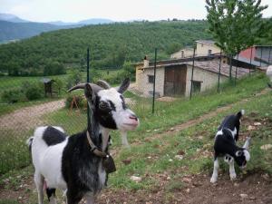 Agriturismo Casale SantAntonio