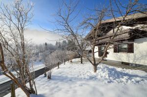 Finest Ski Chalet Leogang byin One Apartments