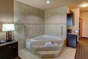 King Room with Whirlpool room in Holiday Inn Express Hotel & Suites Paris an IHG Hotel