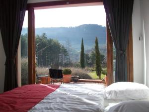 Maisons de vacances Villa Arcadia : photos des chambres