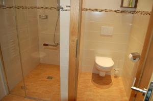 Appartement Pension Albert summercard and free parking included