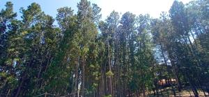 Lilara Hills - Diyatalawa