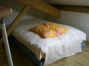 LA VIGNERAIE - SARL Champ Potard - Davayé