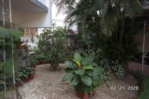 Sandras Home