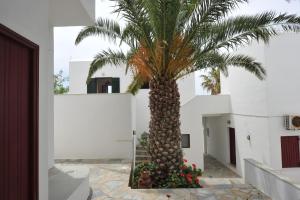 Rallis Apartments Paros Greece