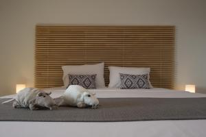 Golden Coast Boutique - Luxury Living Zakynthos Greece