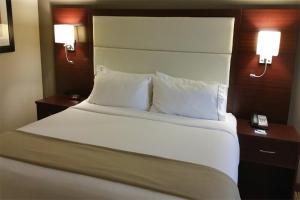 Standard Room room in Holiday Inn Express & Suites Lantana