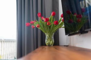 Smolna Apartments by Your Freedom