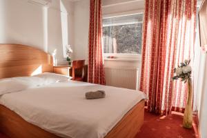 Double Room room in Hotel Medno