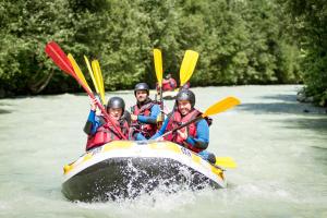 Chalet des Amis- ChamonixYear