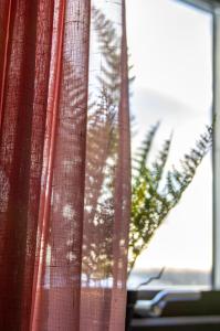 Rödlix Vandrarhem & Camping