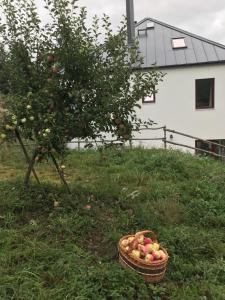 Chalupa U Kačírků