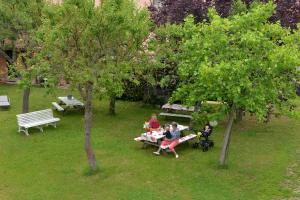 Maisons de vacances L'eclos des vignes - Appartements haut de gamme avec Spa : photos des chambres