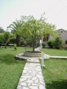 Nikos Apartments Corfu Greece