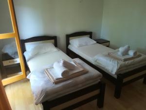 Twin Room with Balcony room in Vignjišta