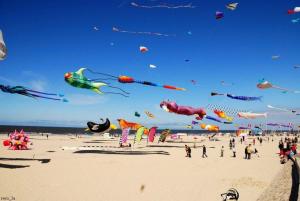 Appartements Appart 2-4 pers Berck-Plage Hyper-centre : photos des chambres