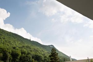 Perfect Apartment Central