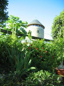 B&B / Chambres d'hotes Moulin Geant : photos des chambres