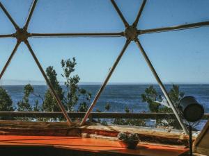 Huiro Lodge Domos y Avistamiento de Fauna Marina