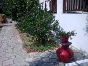 Liossis Rooms & Apartments Skopelos Greece